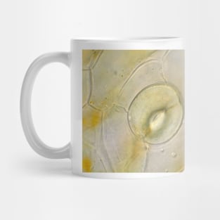 Stoma on orchid petal under the microscope Mug